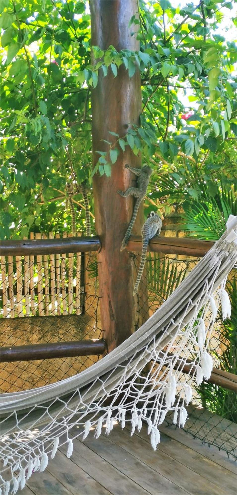 ساو ميجيل دو غوستوسو Vila Emanuelle Pousada Boutique المظهر الخارجي الصورة